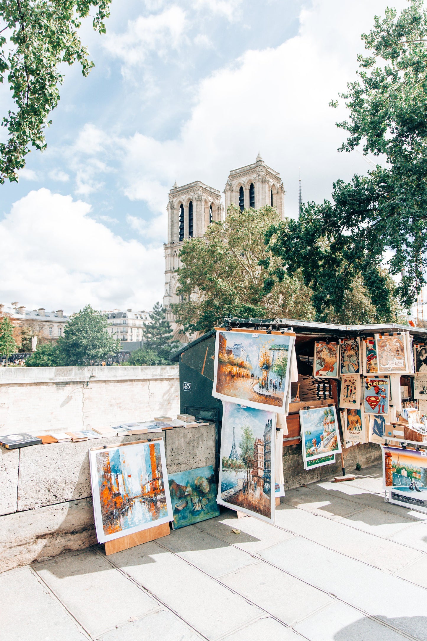 Grand Notre Dame - Framed or Print Only