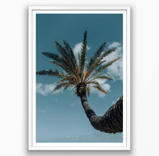 Happy Palm Tree - Framed or Print Only