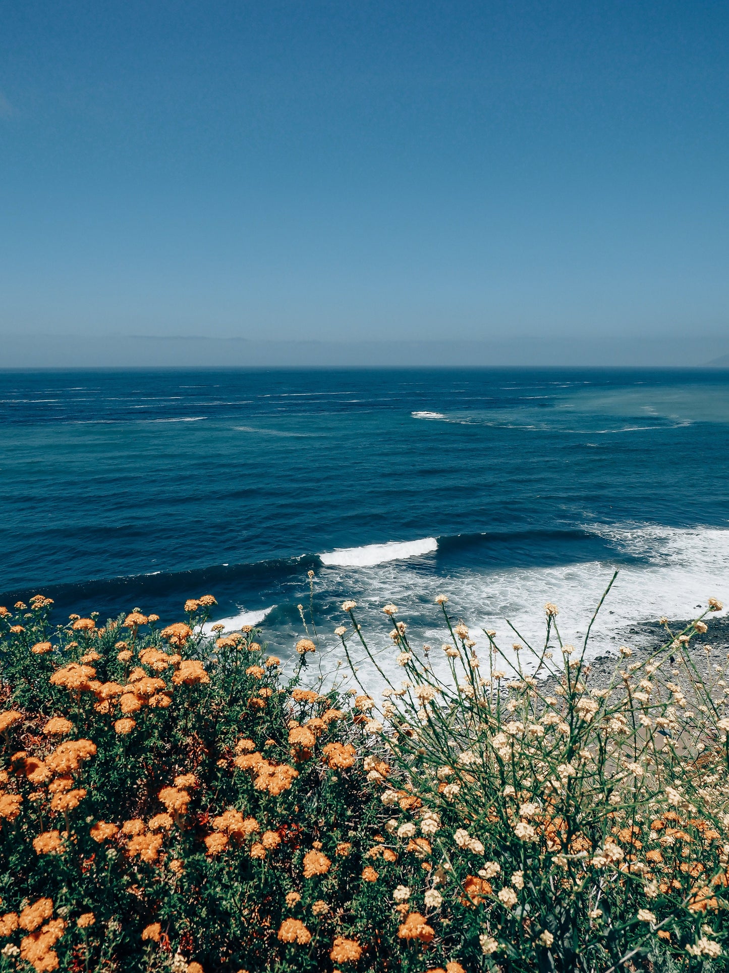 California Coast Swell Photograph - Print Only or Framed