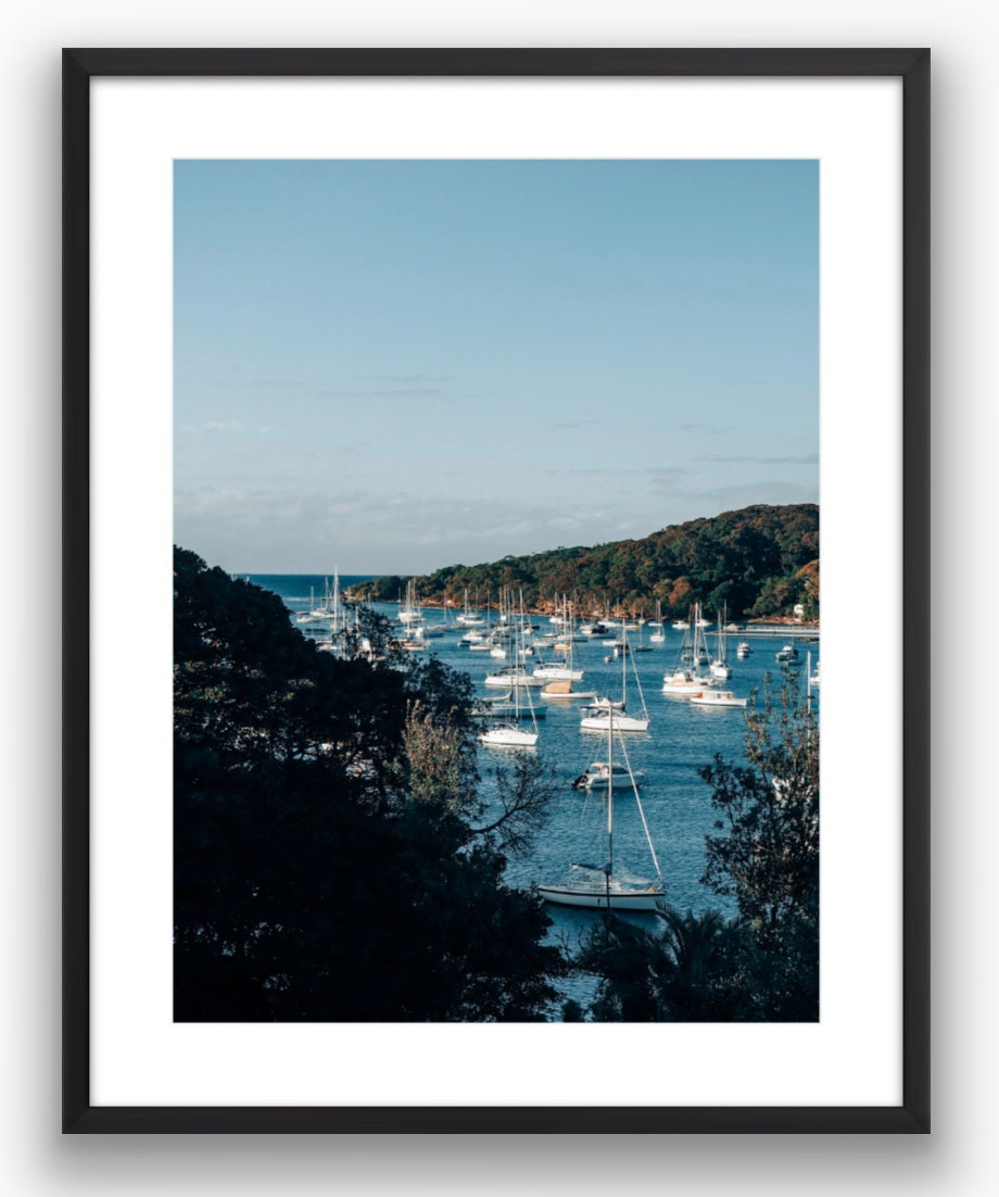 Fairlight Harbor Sydney, Australia Photograph - Print Only or Framed