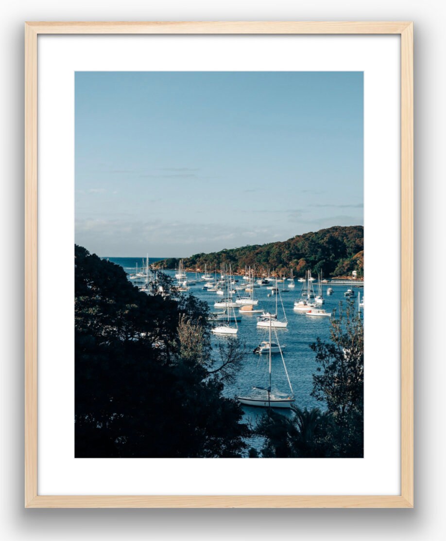 Fairlight Harbor Sydney, Australia Photograph - Print Only or Framed