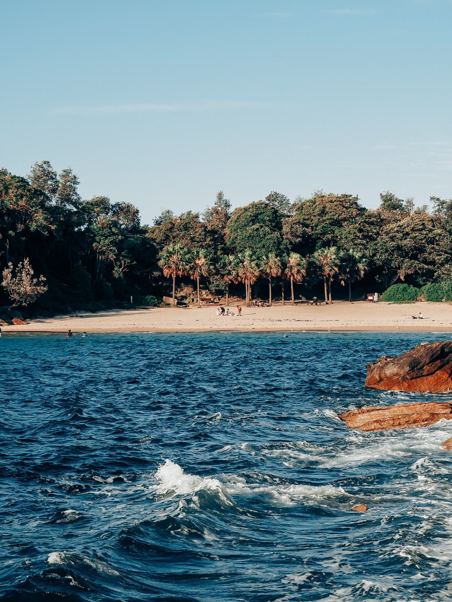 Shelly Beach in Sydney, Australia Photograph - Print Only or Framed