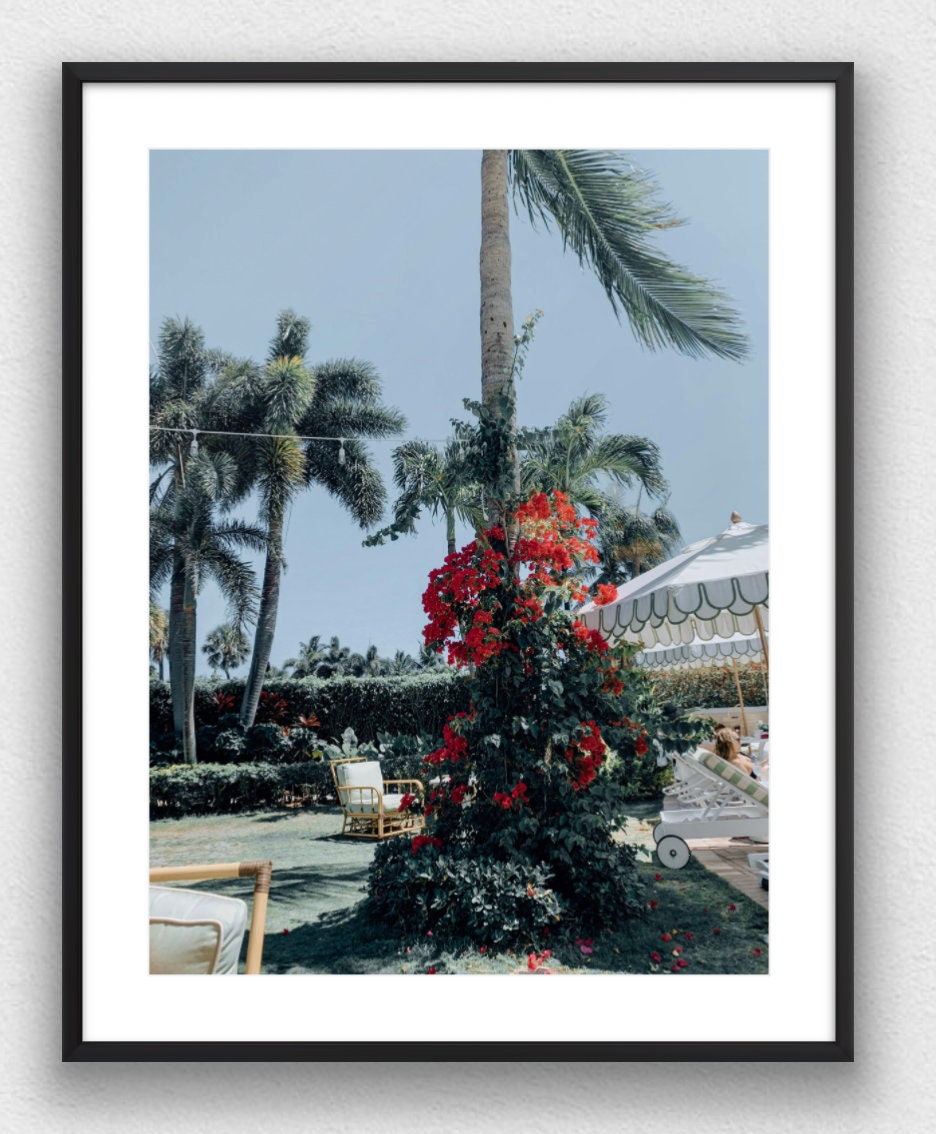 Poolside at The Colony Hotel, Palm Beach Photograph - Print Only or Framed