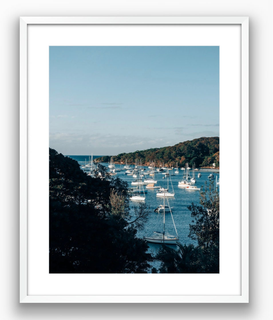 Fairlight Harbor Sydney, Australia Photograph - Print Only or Framed