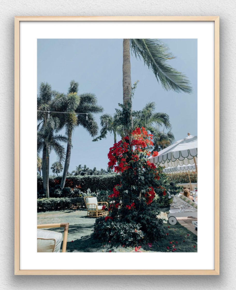 Poolside at The Colony Hotel, Palm Beach Photograph - Print Only or Framed