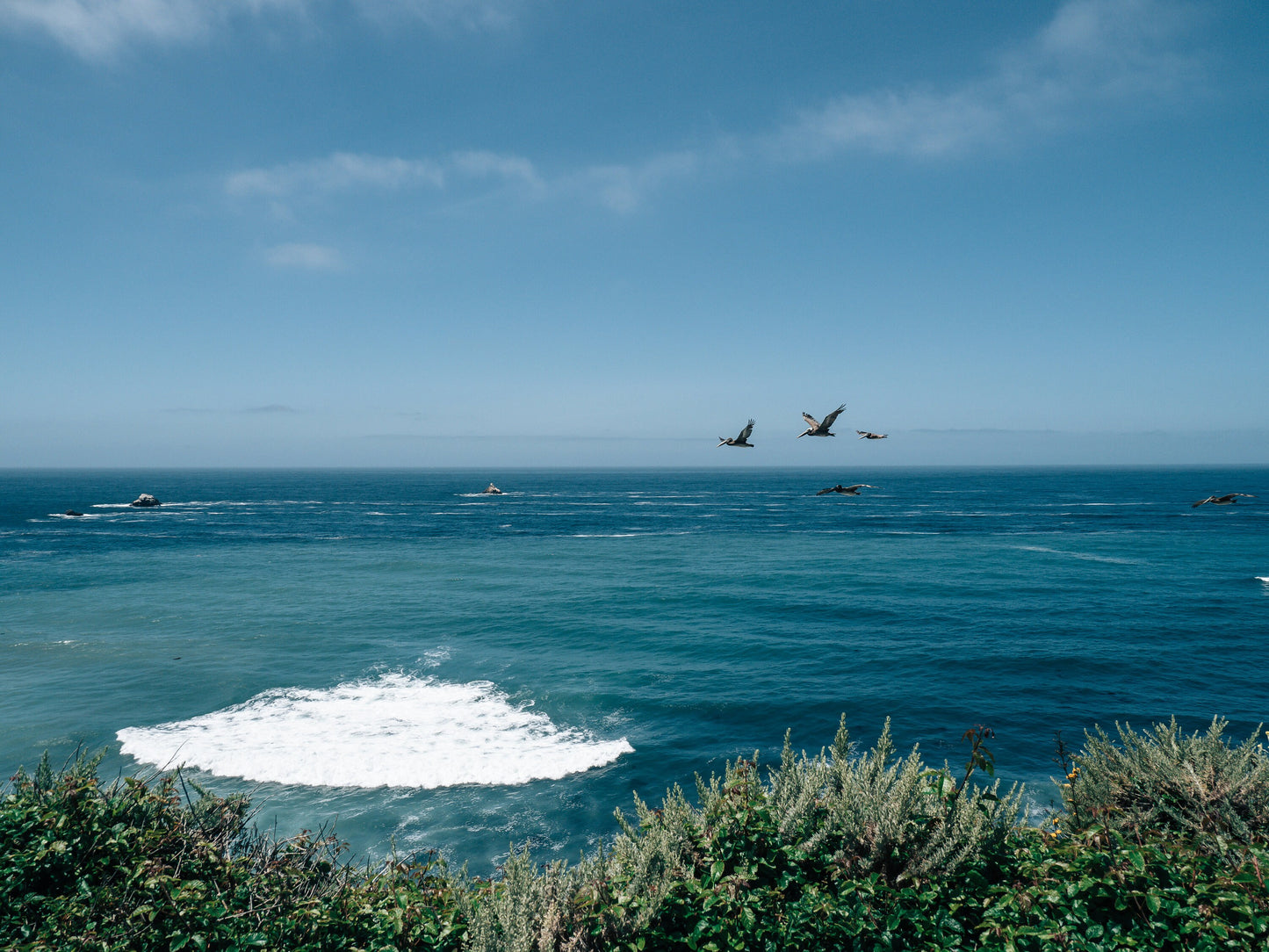 California Wilderness - Framed or Print Only