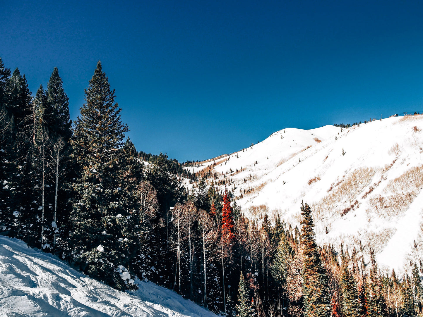 Park City Mountains Framed Photograph - Print Only or Framed