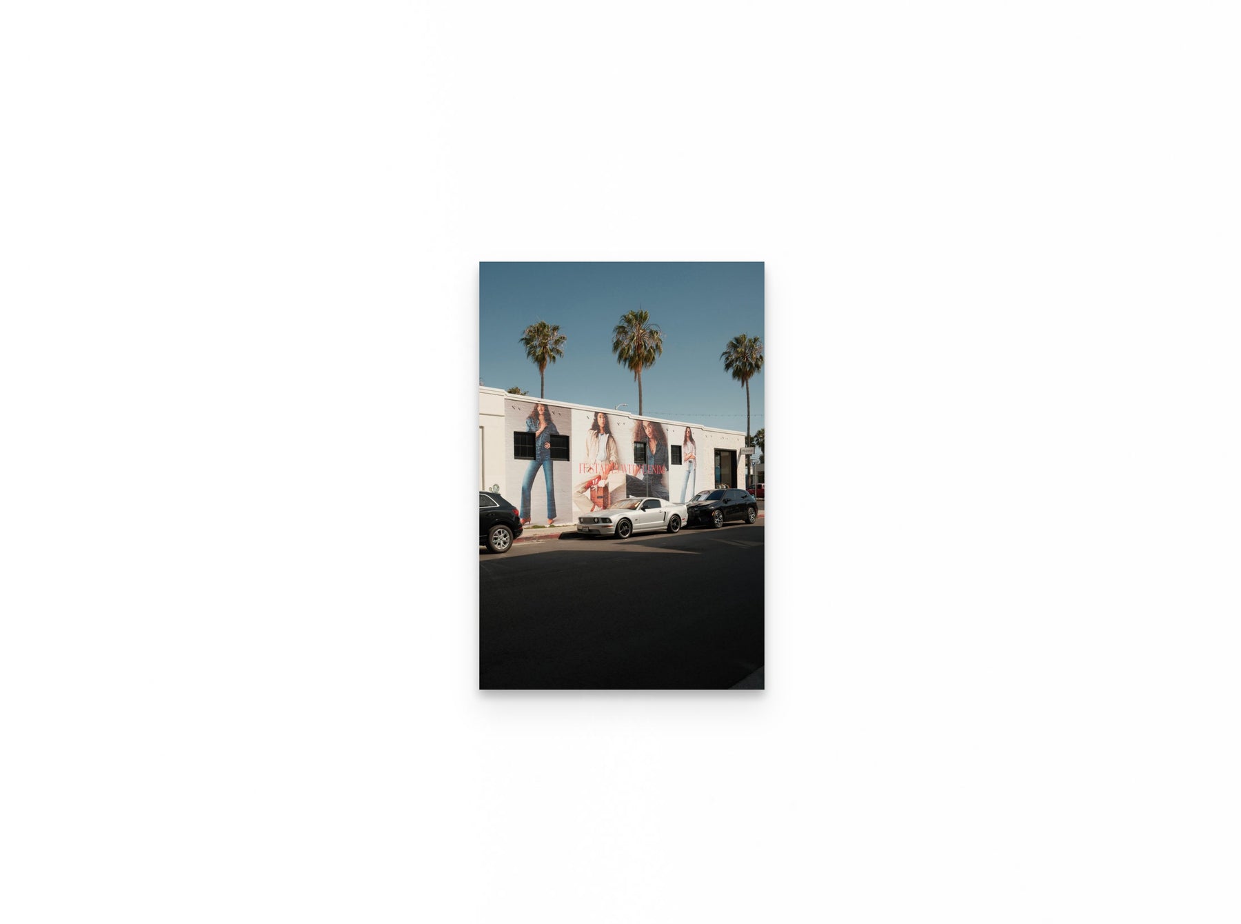 Abbot Kinney Palms, 12×18 fine art print