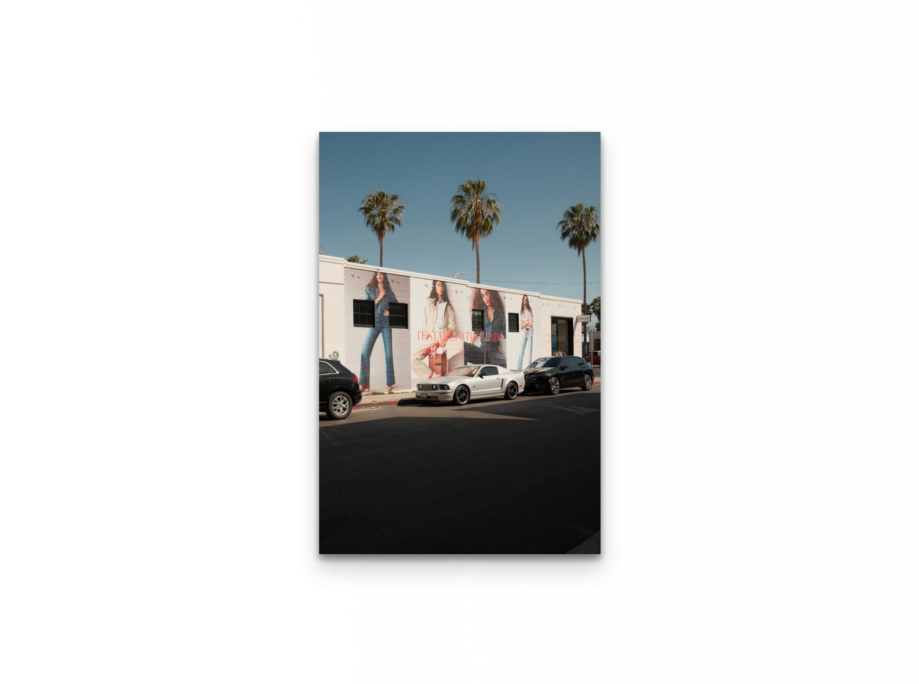Abbot Kinney Palms, 16×24 fine art print