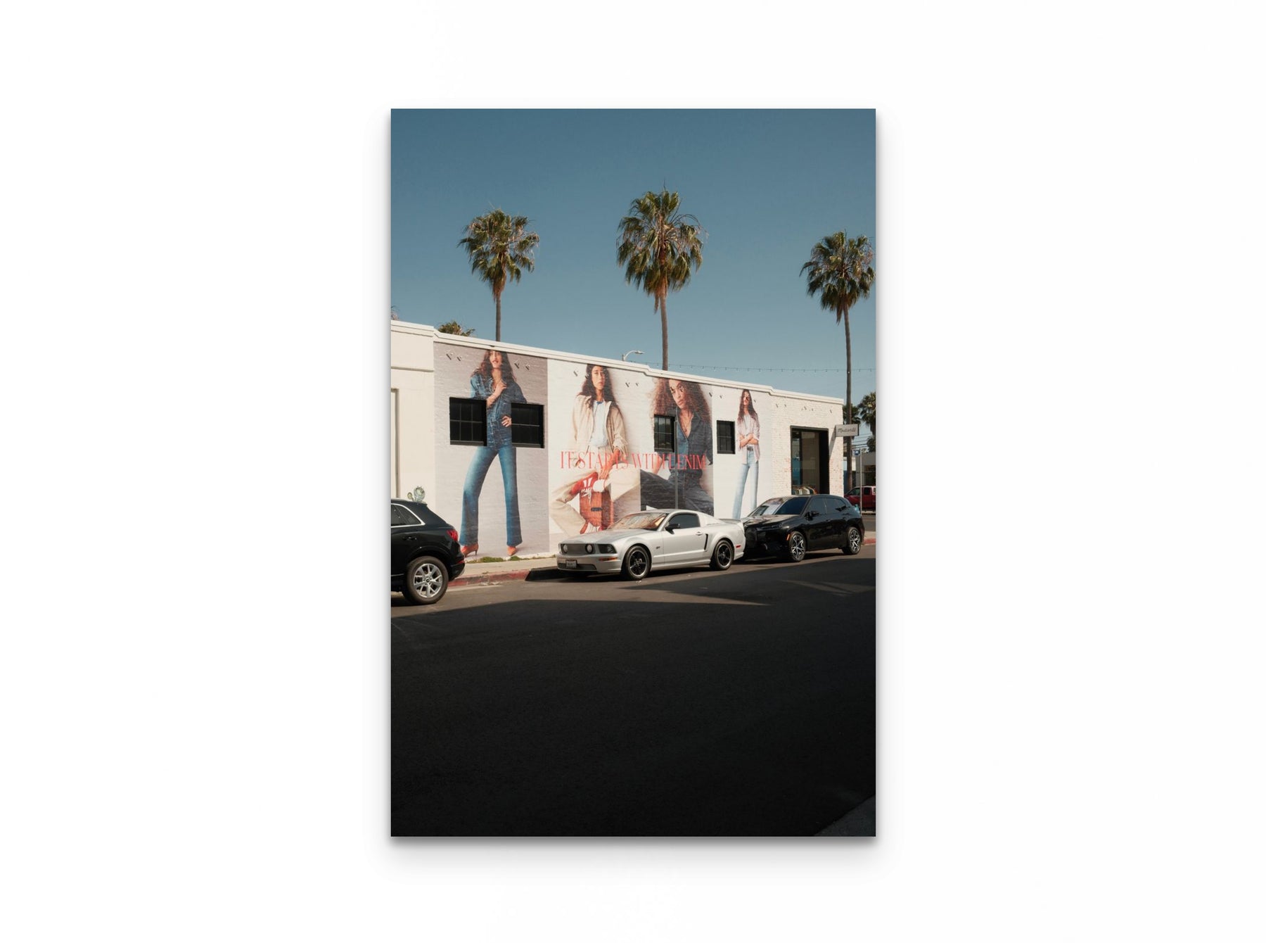 Abbot Kinney Palms, 20×30 fine art print