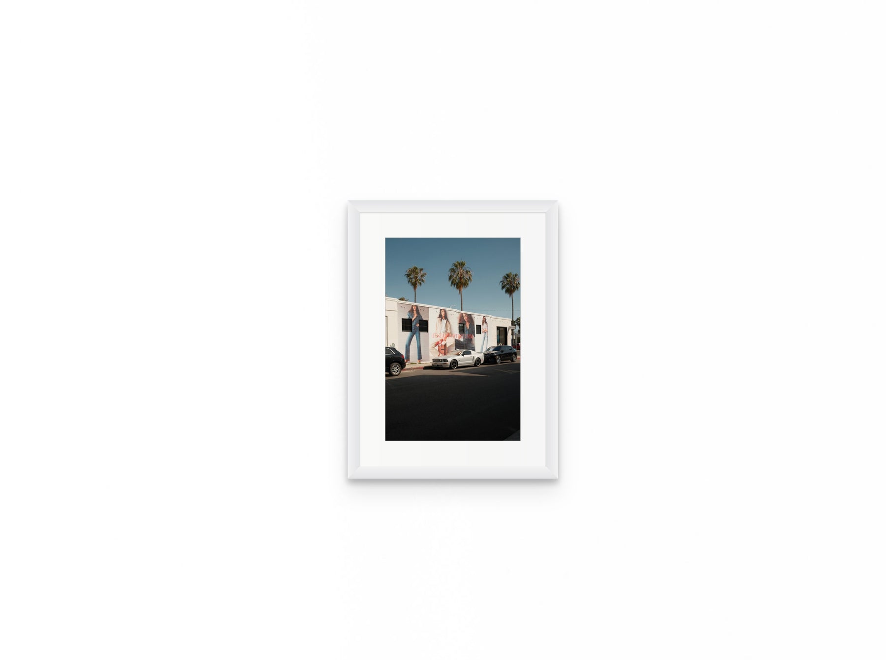 Abbot Kinney Palms, 8×12 in white frame