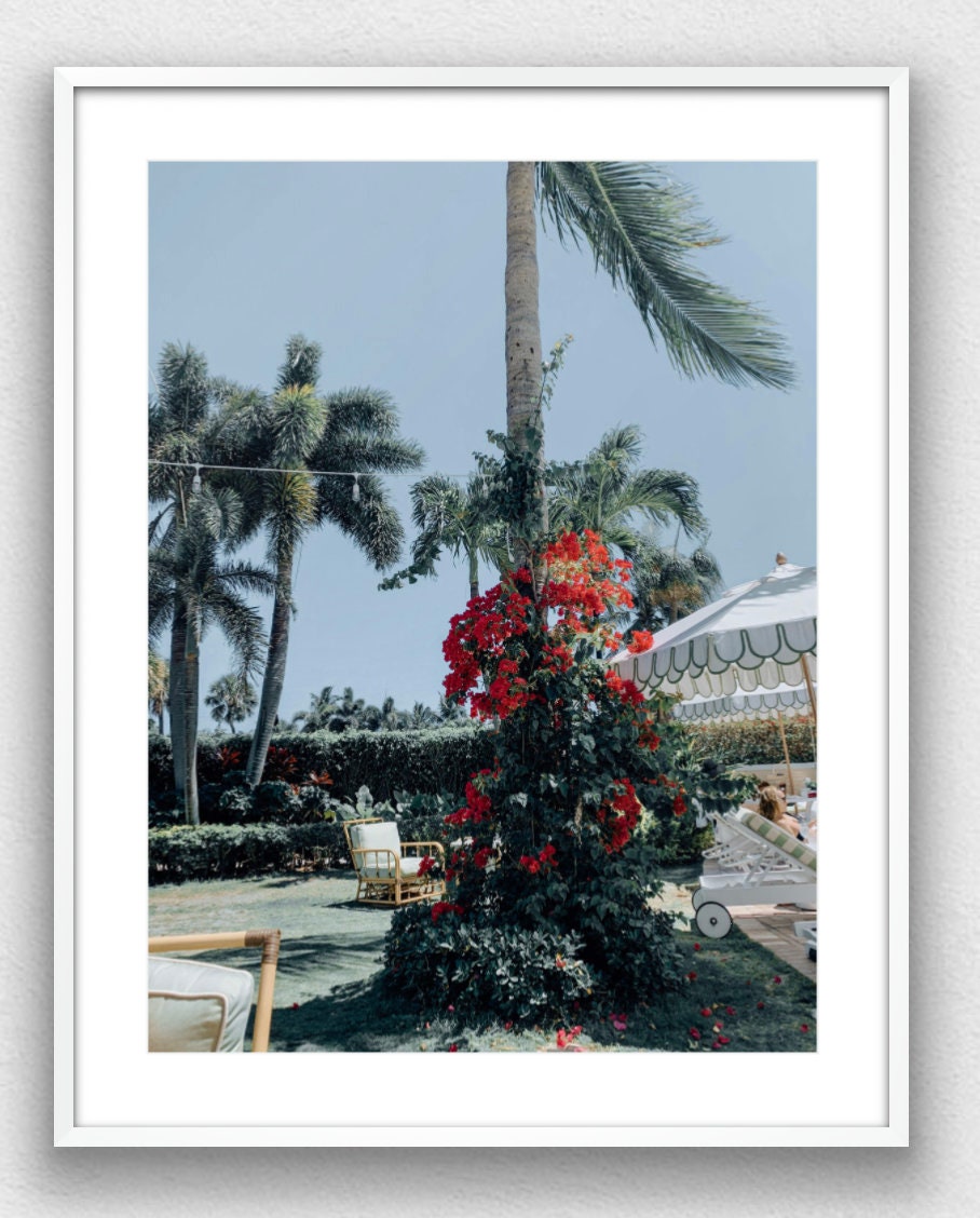 Poolside at The Colony Hotel, Palm Beach Photograph - Print Only or Framed