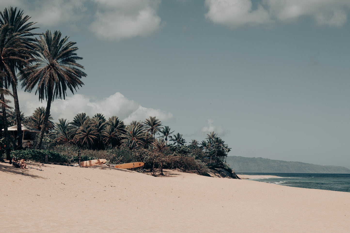 Vintage Hawaii - Framed or Print Only