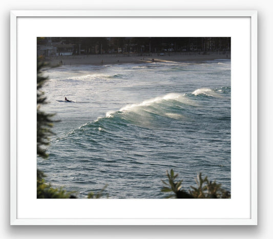 Sunset Surfer in Sydney Photograph - Print Only or Framed