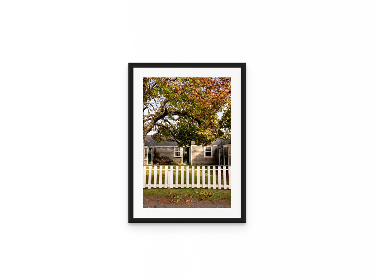 Chestnut Tree Cottage