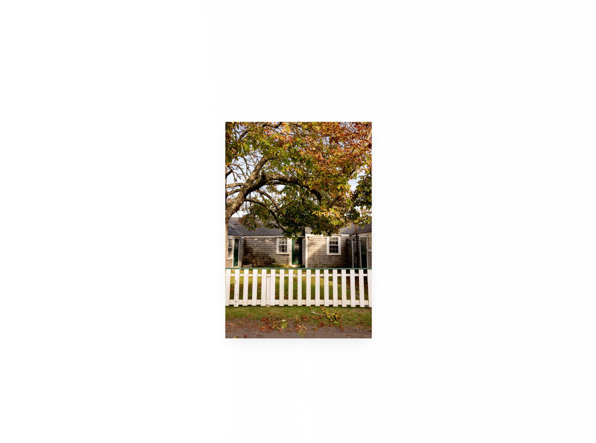 Chestnut Tree Cottage