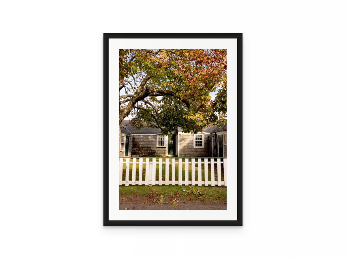 Chestnut Tree Cottage