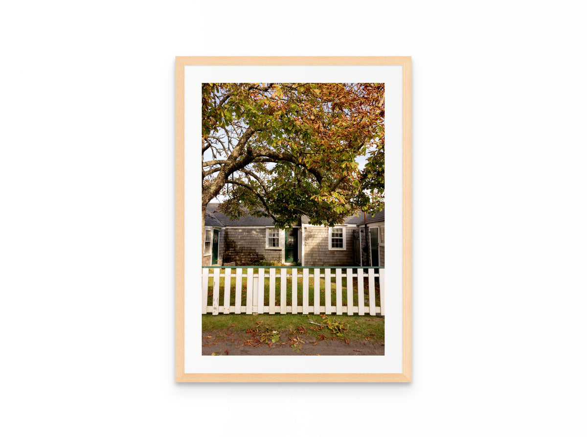 Chestnut Tree Cottage