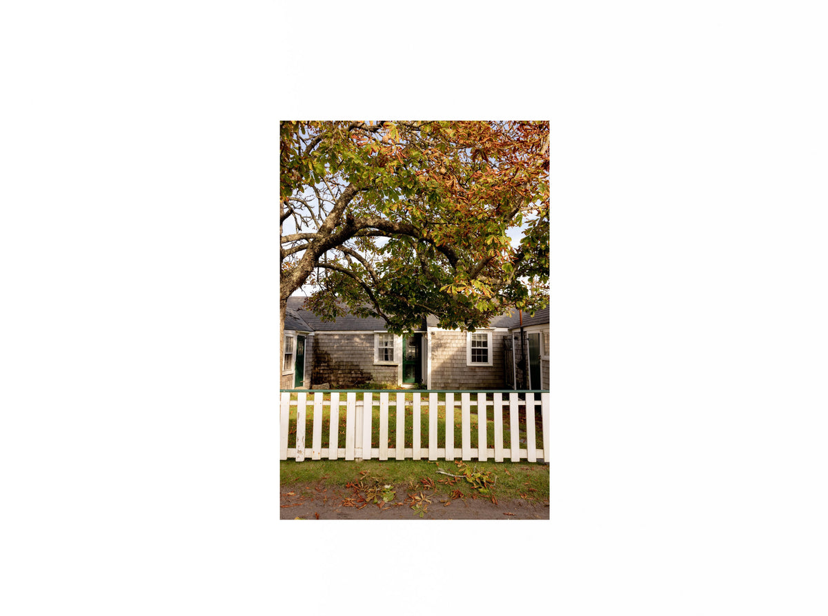 Chestnut Tree Cottage