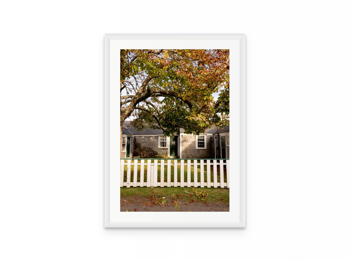 Chestnut Tree Cottage