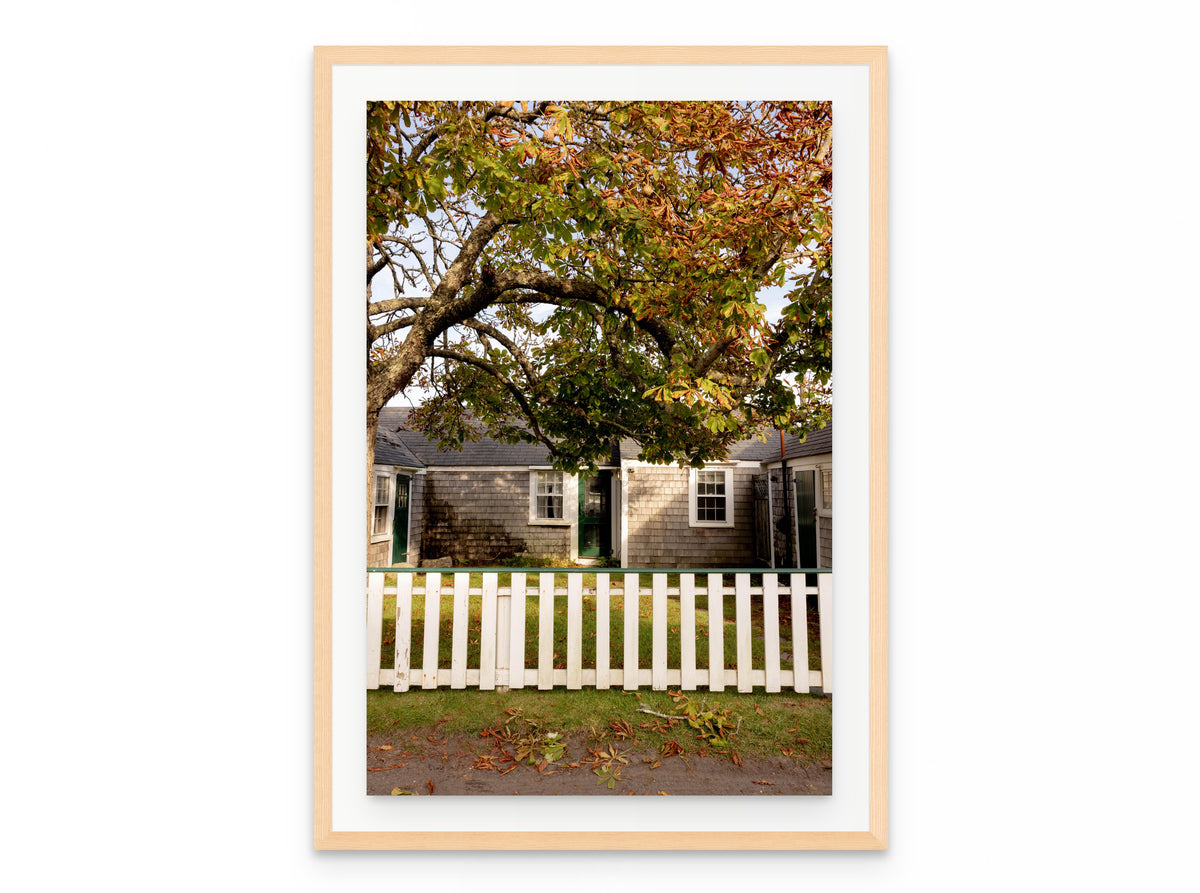 Chestnut Tree Cottage