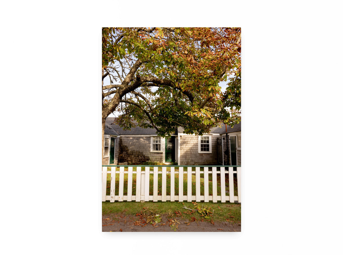 Chestnut Tree Cottage