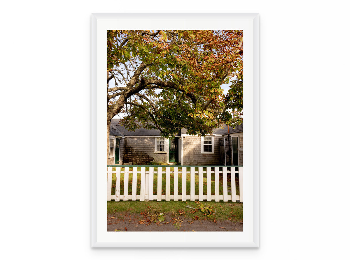 Chestnut Tree Cottage