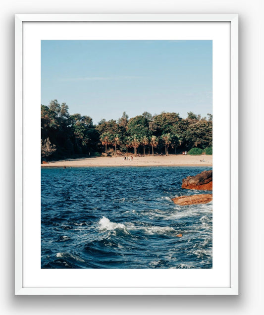 Shelly Beach in Sydney, Australia Photograph - Print Only or Framed