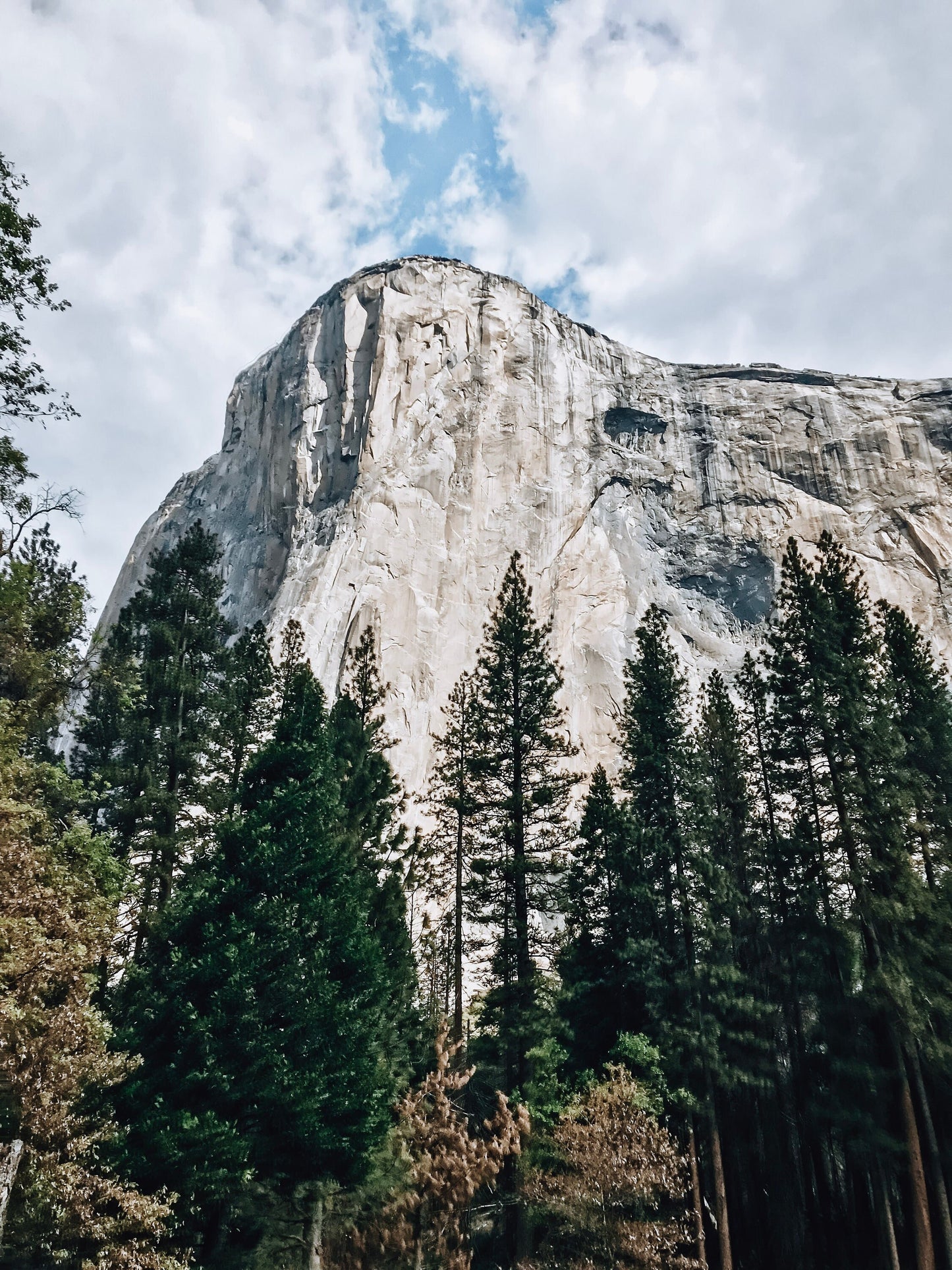 Yosemite El Capitan Photograph - Print Only or Framed