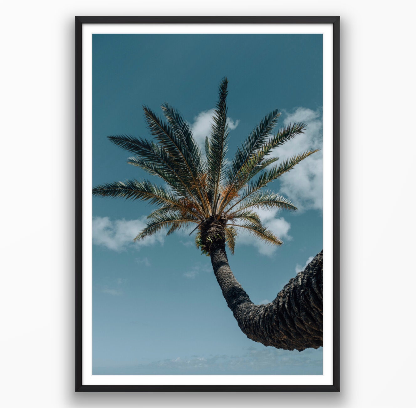 Happy Palm Tree - Framed or Print Only