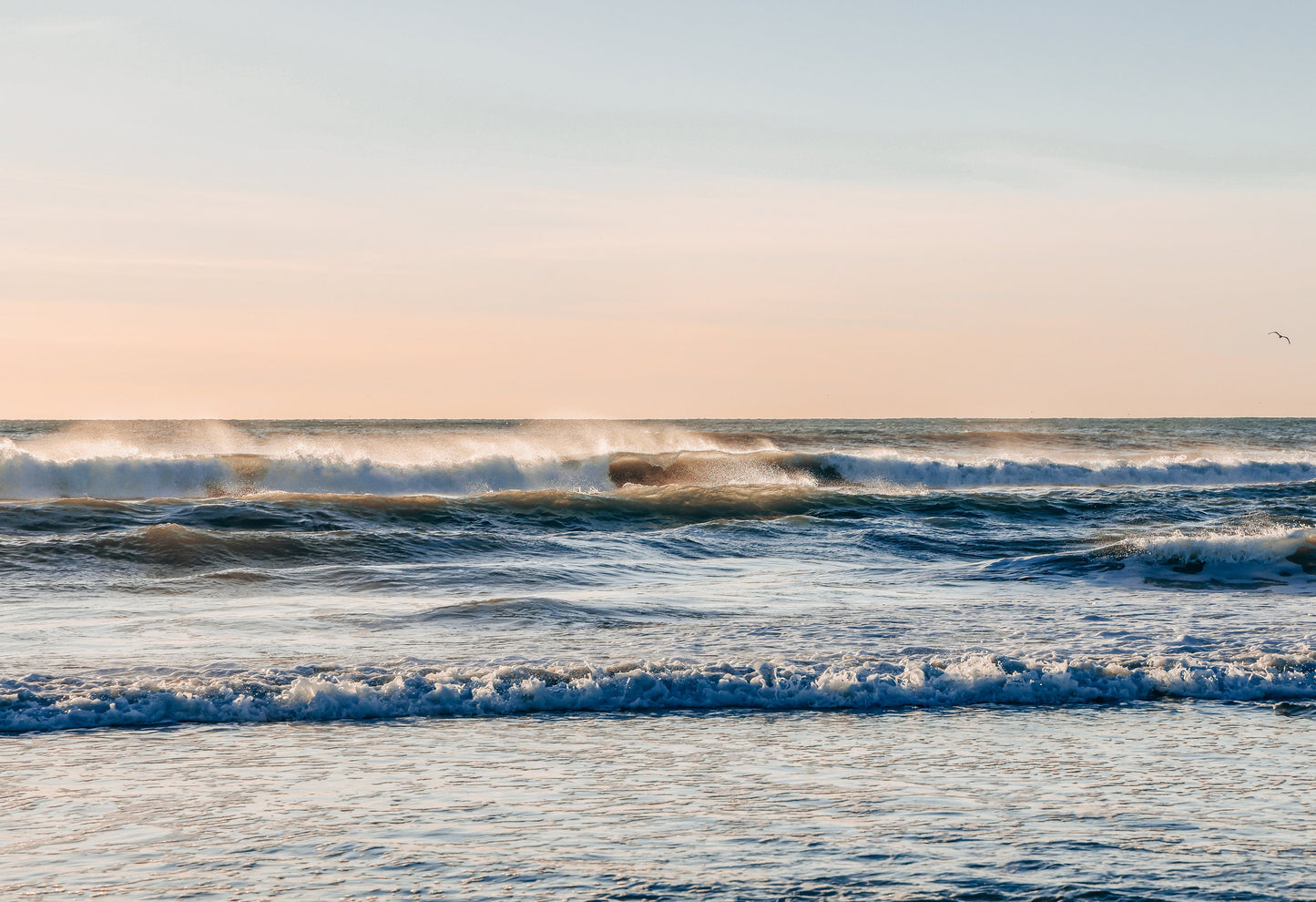 Sweet Sea Breeze - Framed or Print Only