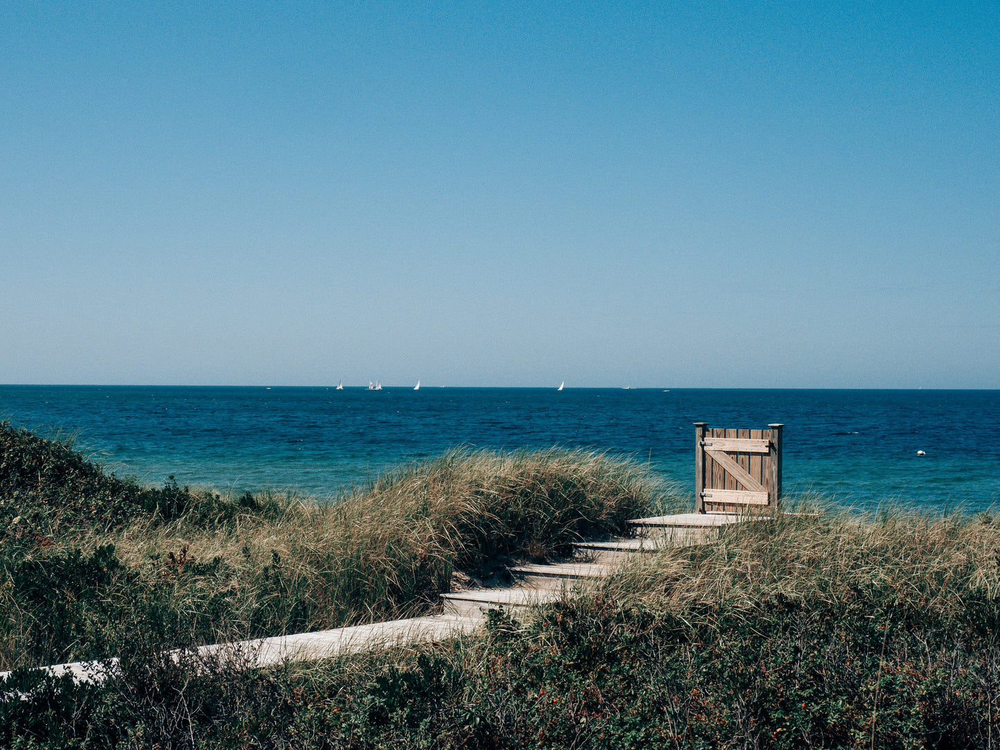 Nantucket Steps Beach Bluffs II Photograph - Framed or Print Only