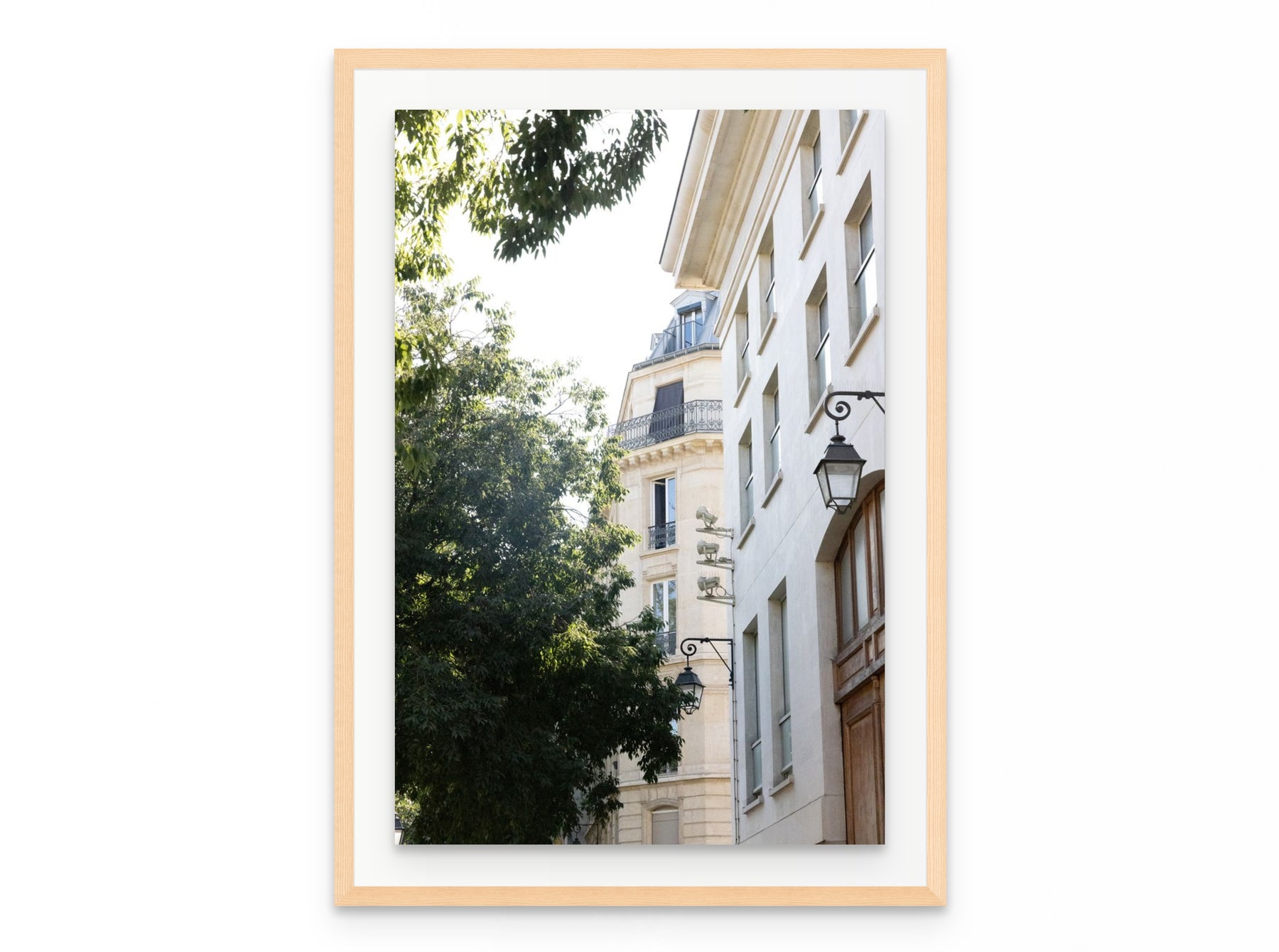 Haussmann Lanterns, 20×30 in natural frame