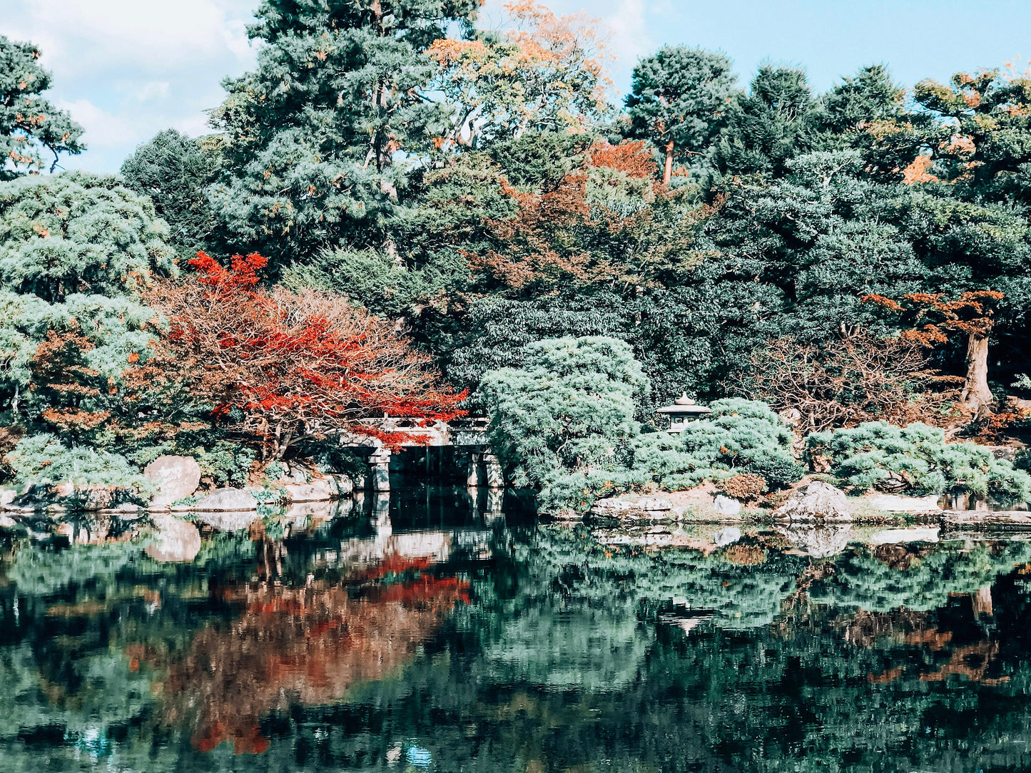 Japanese Monet - Kyoto Garden Photograph - Print Only or Framed