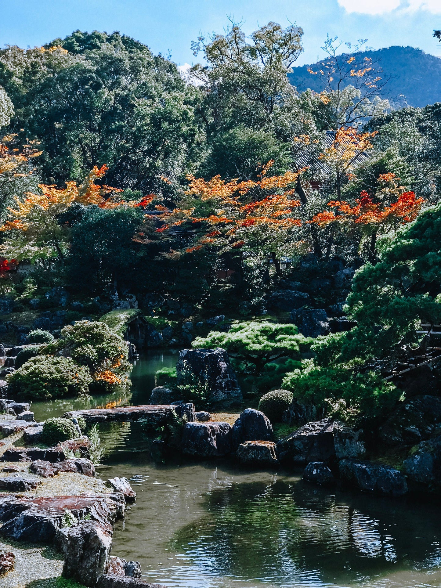 Japanese Garden in Kyoto Photograph - Print Only or Framed