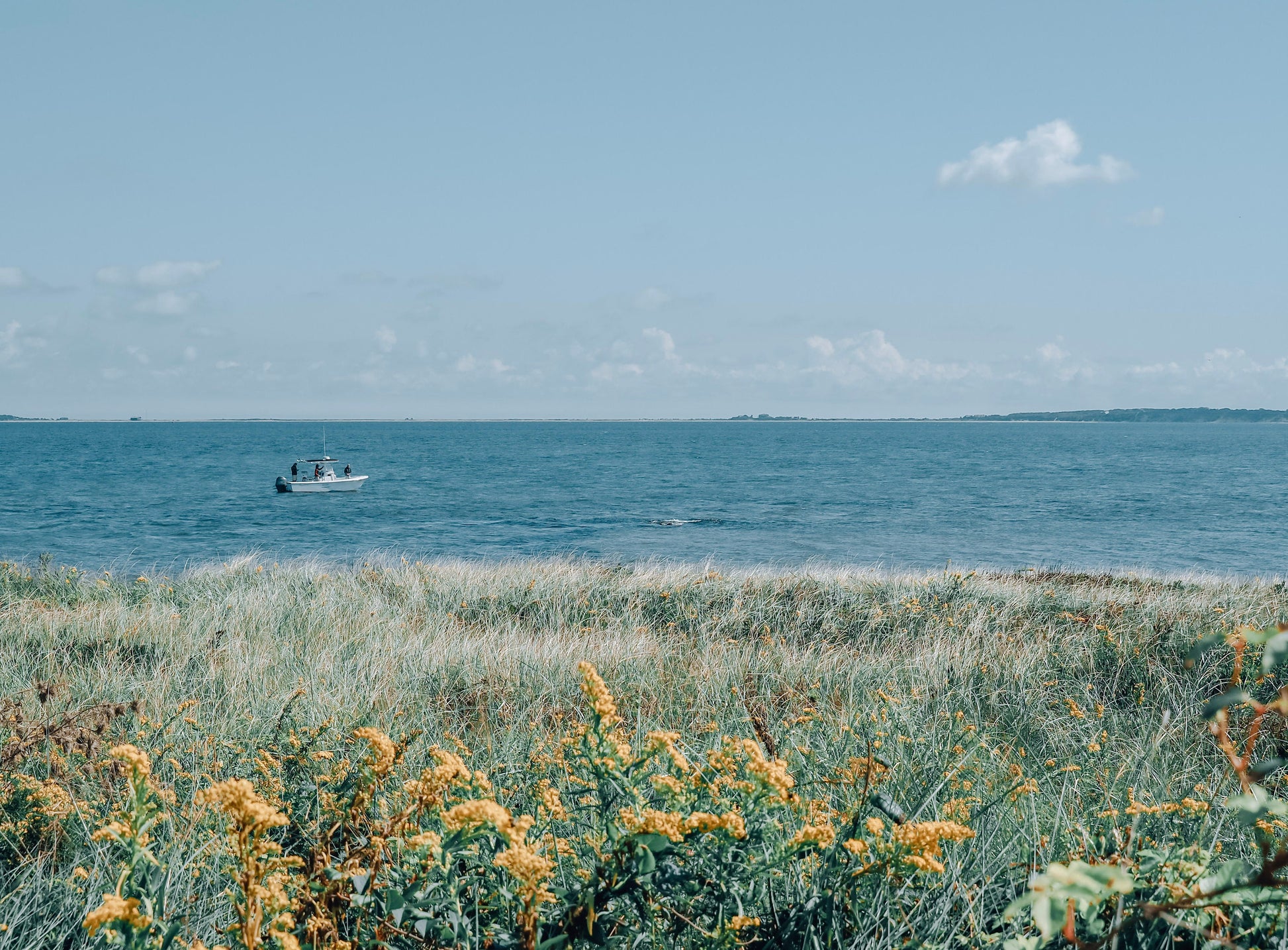 Martha's Vineyard Boat & Bluff Photograph - Print Only or Framed