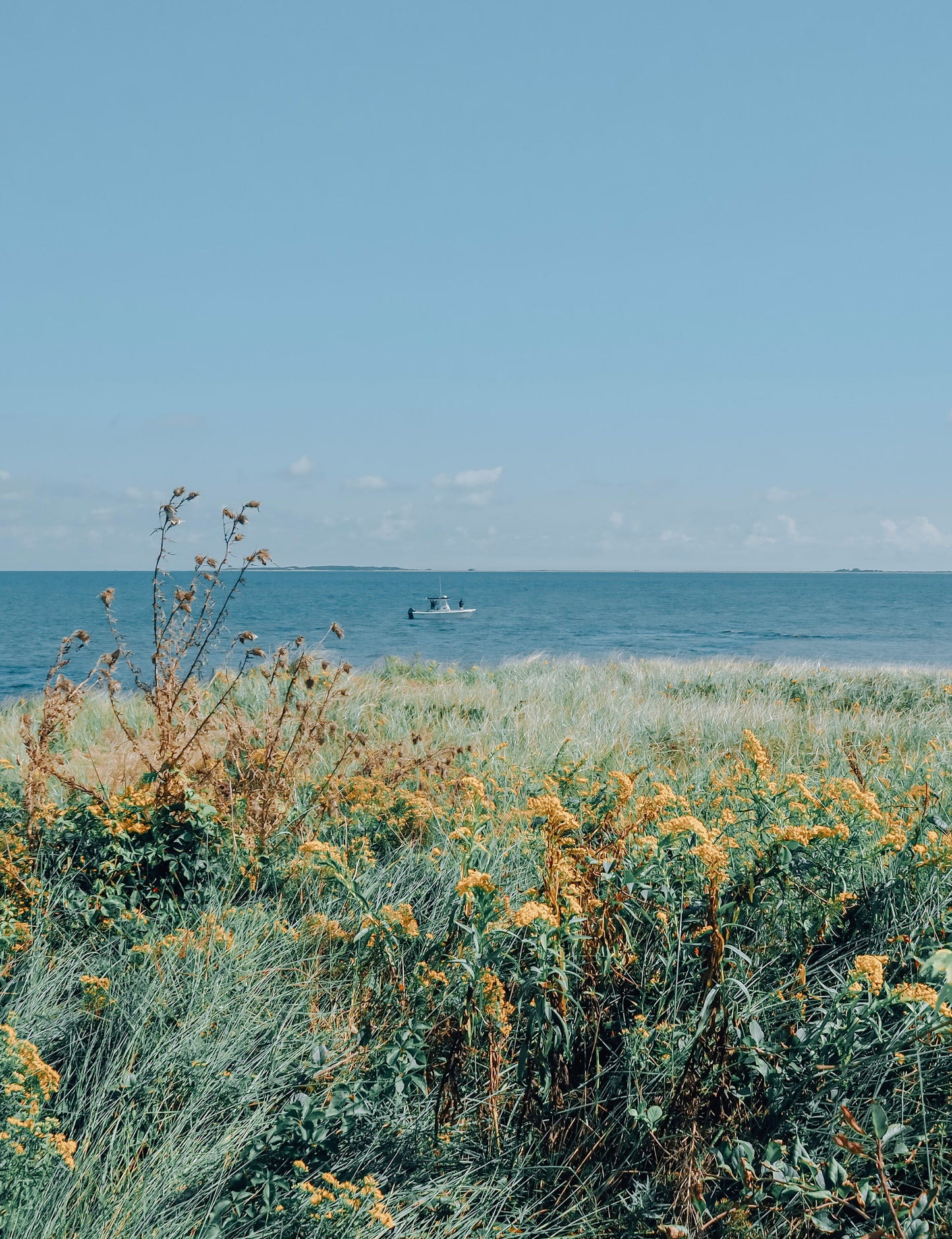 Martha's Vineyard Bluffs I Photograph - Print Only or Framed