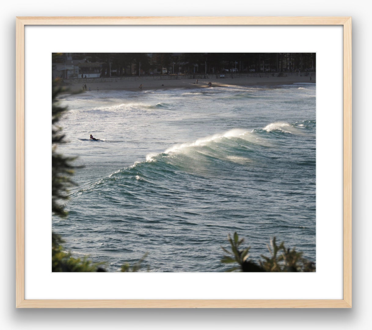 Sunset Surfer in Sydney Photograph - Print Only or Framed