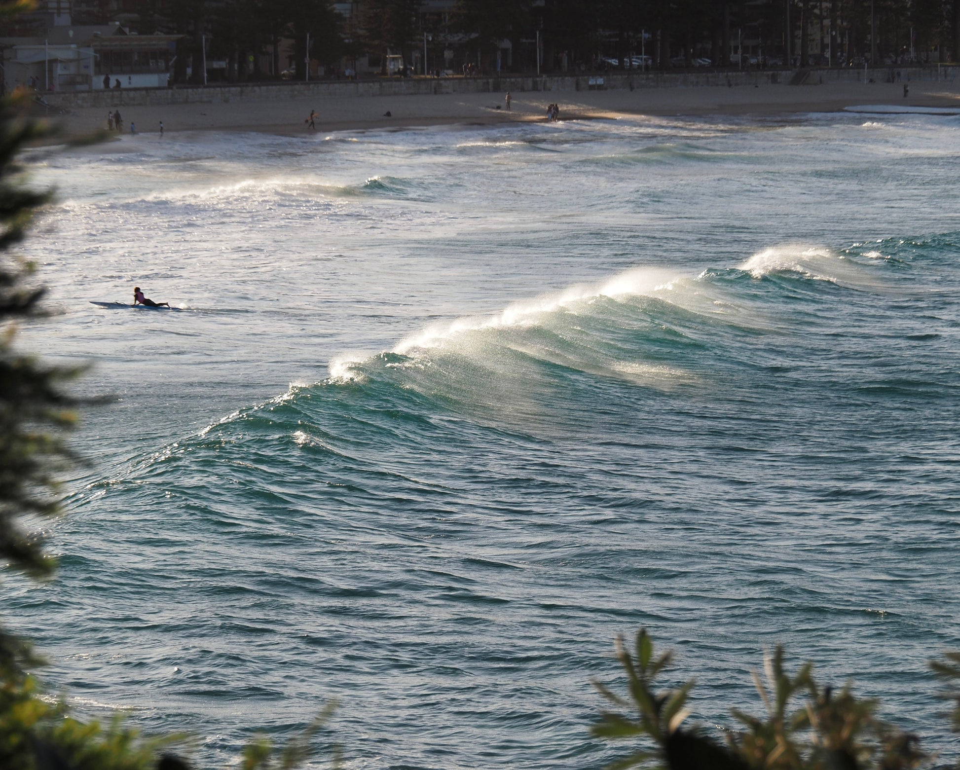 Sunset Surfer in Sydney Photograph - Print Only or Framed