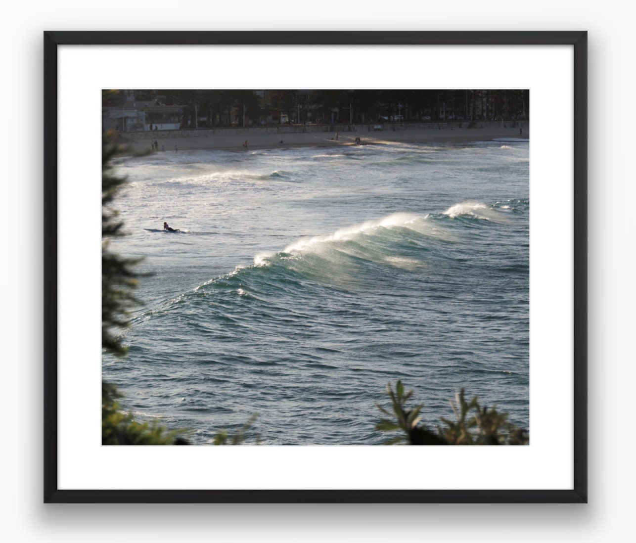 Sunset Surfer in Sydney Photograph - Print Only or Framed