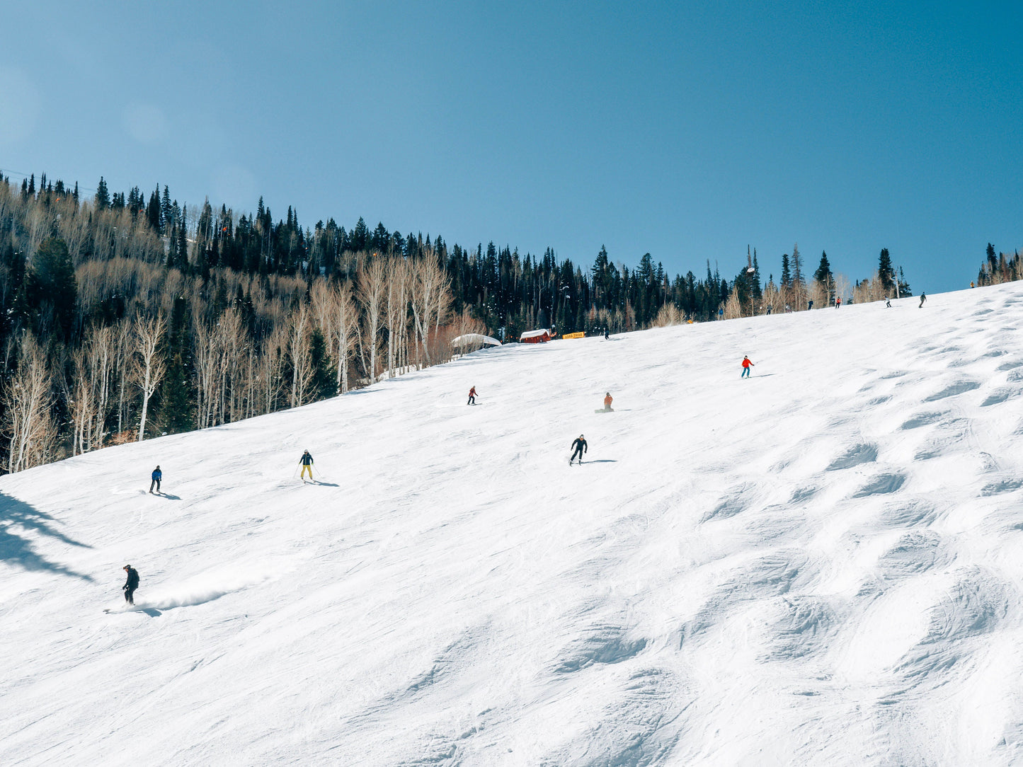 Park City Slopes Photograph - Print Only or Framed