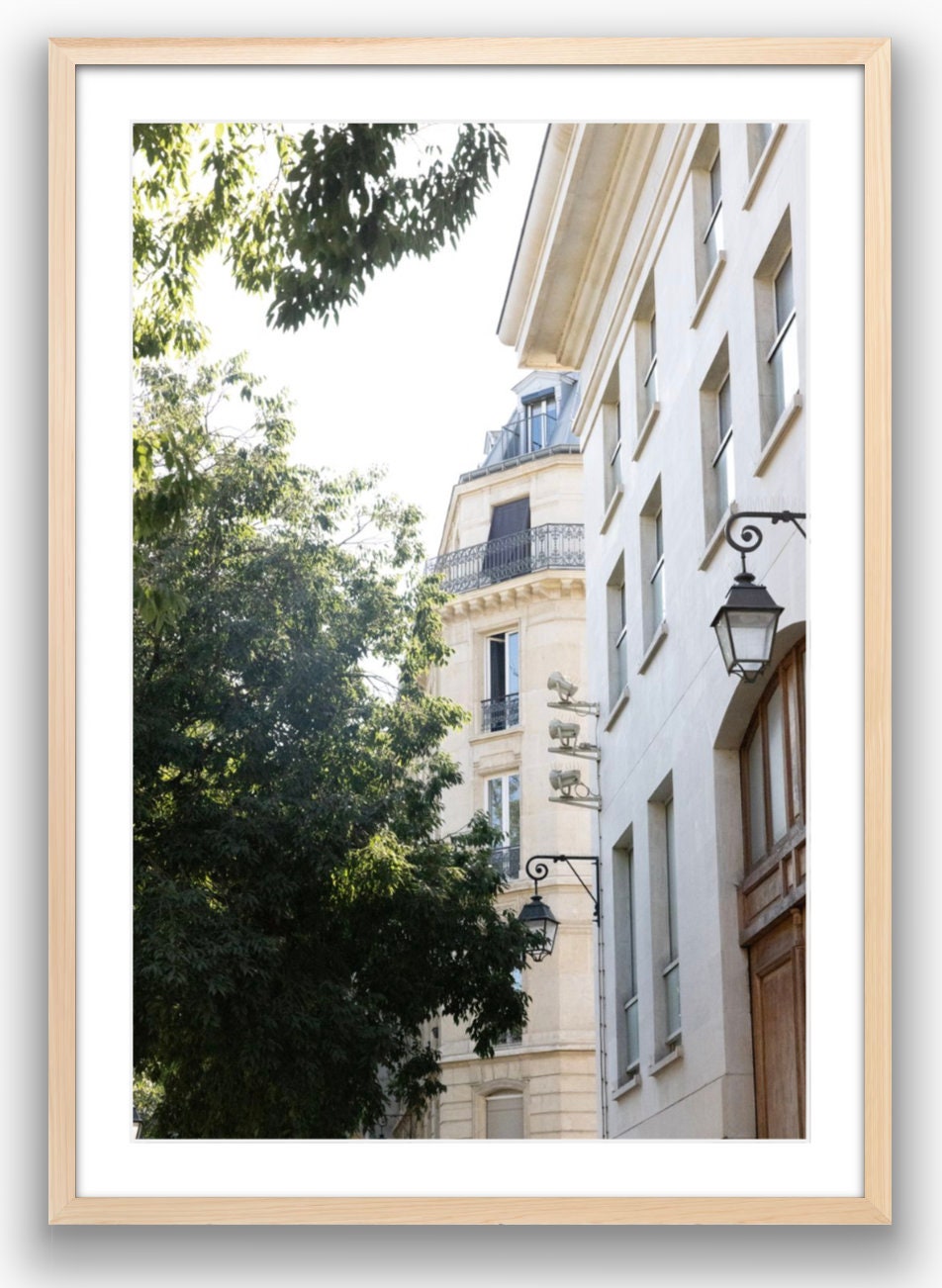 A Parisian Street Corner - Framed or Print Only