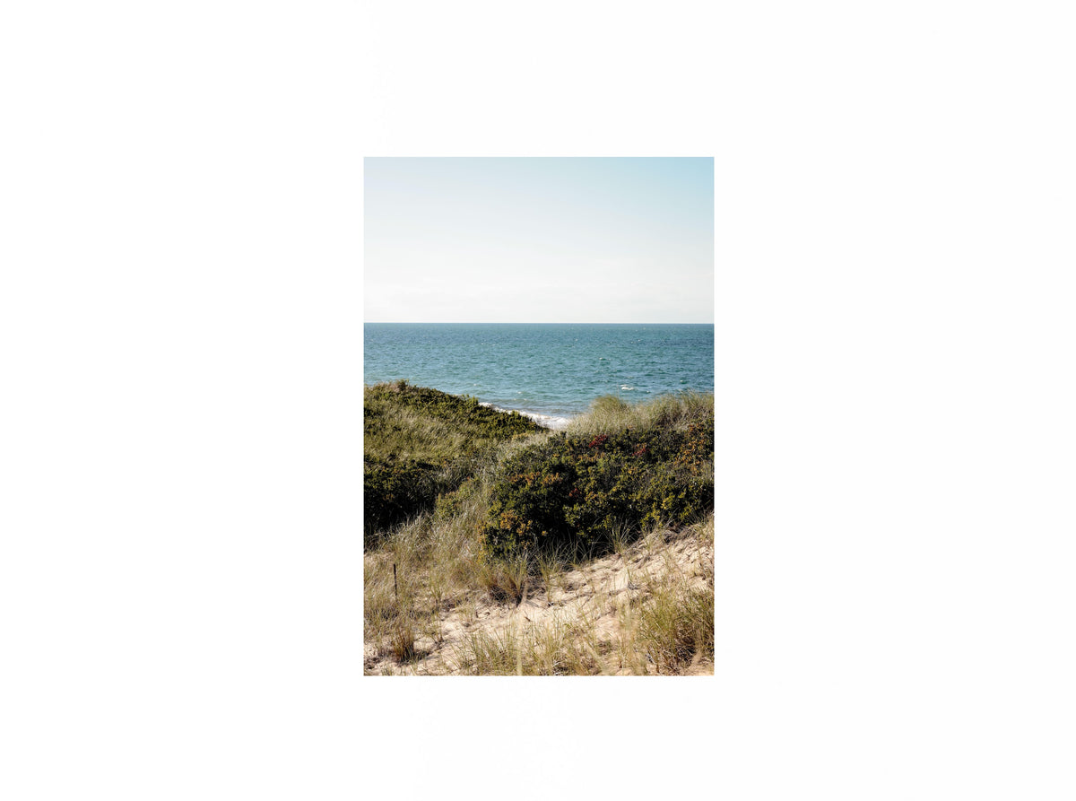 Nantucket Dunes for Two