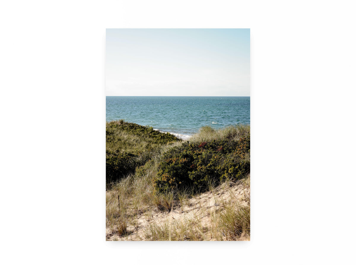 Nantucket Dunes for Two