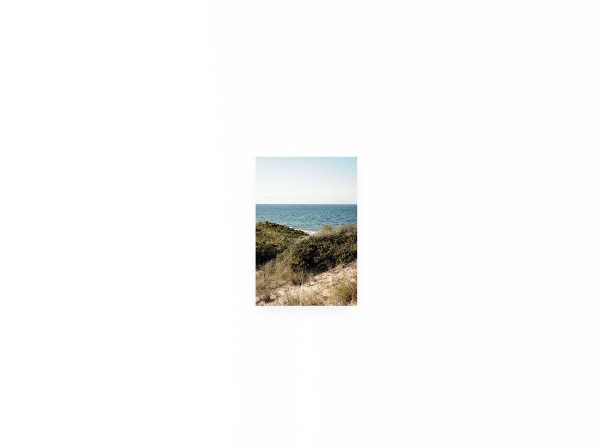 Nantucket Dunes for Two