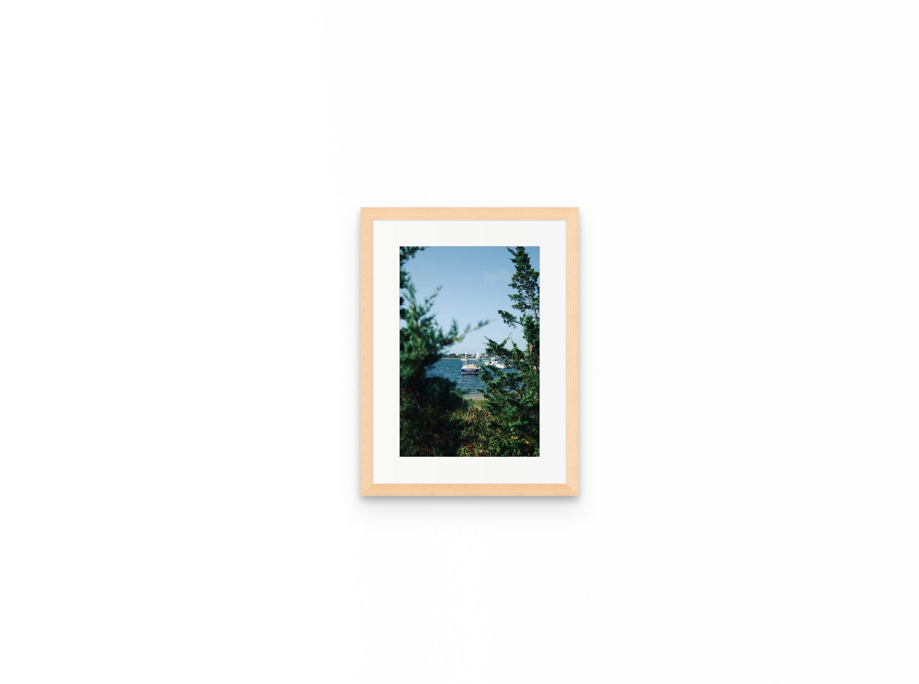 Nantucket Harbor Cedars, 8×12 in natural frame