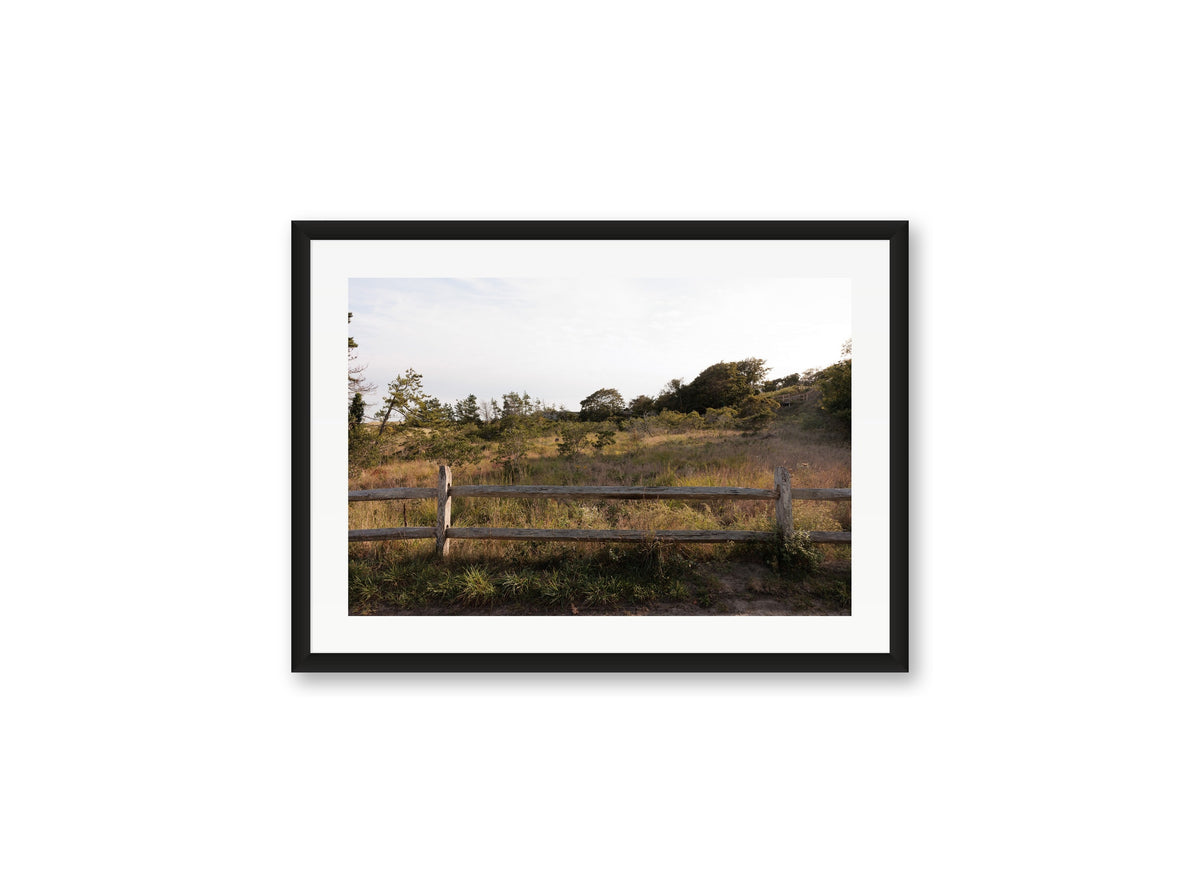 Sconset Meadow