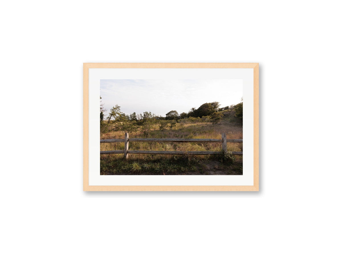 Sconset Meadow