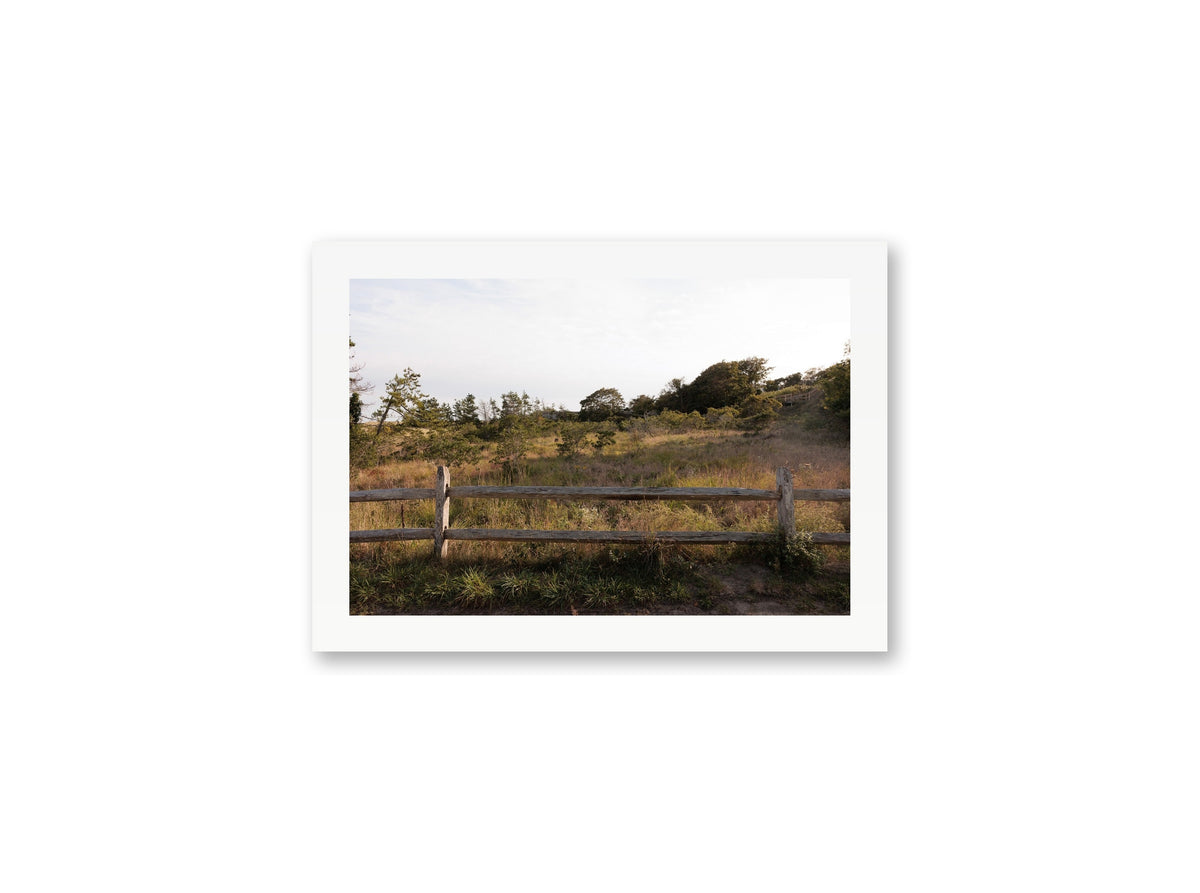 Sconset Meadow