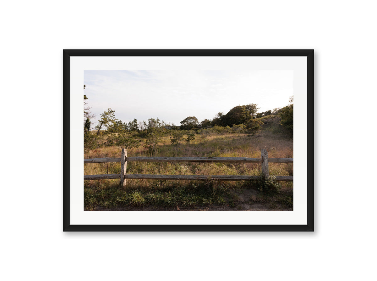 Sconset Meadow